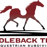 Saddleback Trail Logo Vector