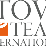 StoveTeam International Logo Vector