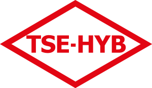 TSE HYB Türk Standartları Enstitüsü Hizmet Yeterl Logo Vector