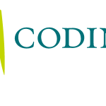 The Codina Group Inc. Logo Vector