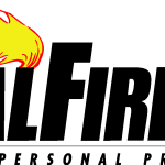 Total Fire Group Logo Vector