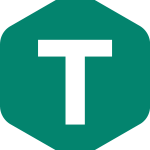 Translink Icon Logo Vector