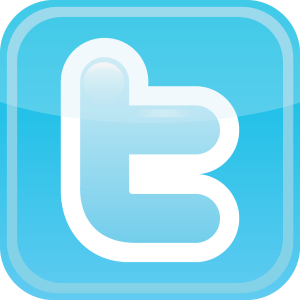 Twitter icon Logo Vector