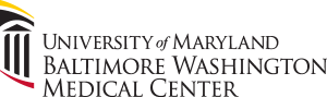 University of Maryland Baltimore Landscape Logo Vector