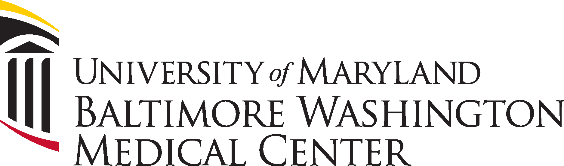 University of Maryland Baltimore Landscape Logo Vector - (.Ai .PNG .SVG ...