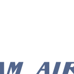 Vietnam Airlines OLD Logo Vector