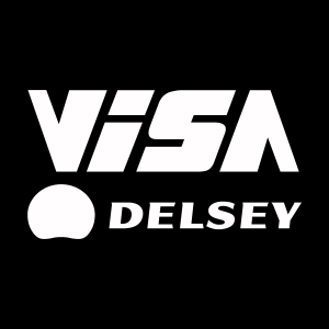 Visa Delsey white Logo Vector