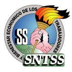 sntss imss Logo Vector