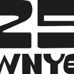 25 WNYE Logo Vector