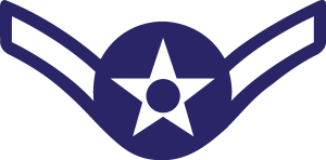 AIRMAN RANK INSIGNIA Logo Vector