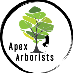 Apex Arborists Logo Vector