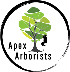 Apex Arborists Logo Vector