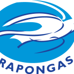 Associacao Atletica Arapongas de Arapongas PR Logo Vector