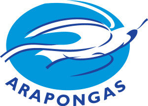 Associacao Atletica Arapongas de Arapongas PR Logo Vector