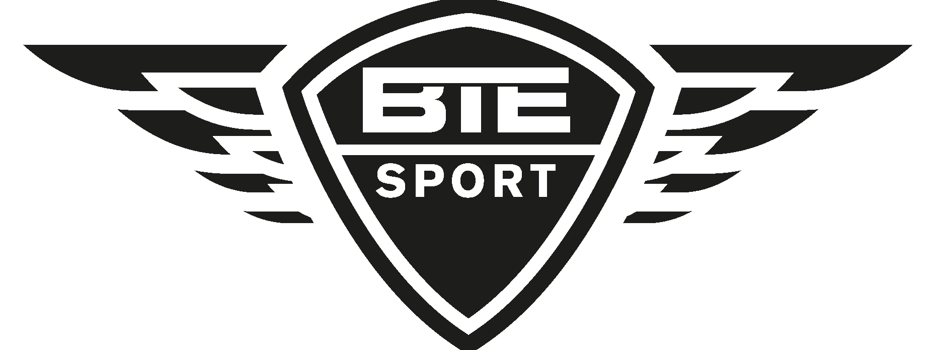 BTE Sport new Logo Vector
