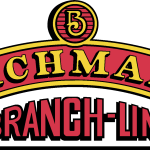 Bachmann Logo Vector