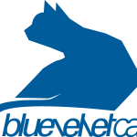 Bluevelvet Cat Logo Vector