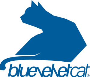Bluevelvet Cat Logo Vector