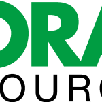 Boral Resources Wordmark Logo Vector