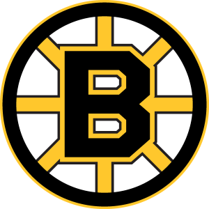 Boston Bruins 1995 2007 Logo Vector