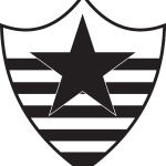 Botafogo Esporte Clube de Teresina PI Logo Vector