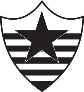 Botafogo Esporte Clube de Teresina PI Logo Vector
