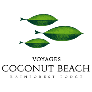 COCONUT BEACH Logo Vector