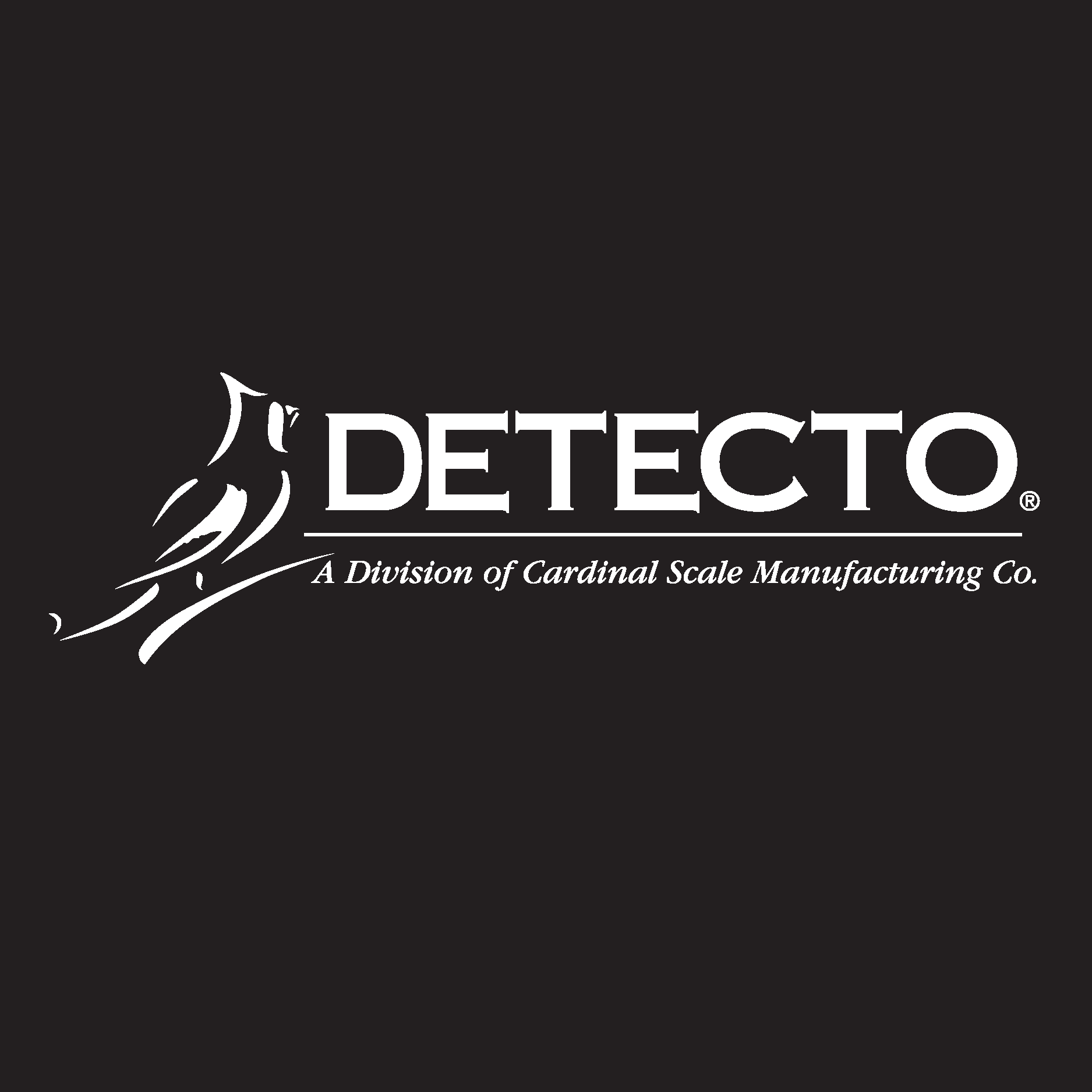 Detecto Logo Vector
