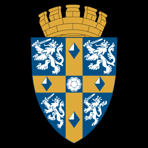 Durham County Council  black Logo Vector
