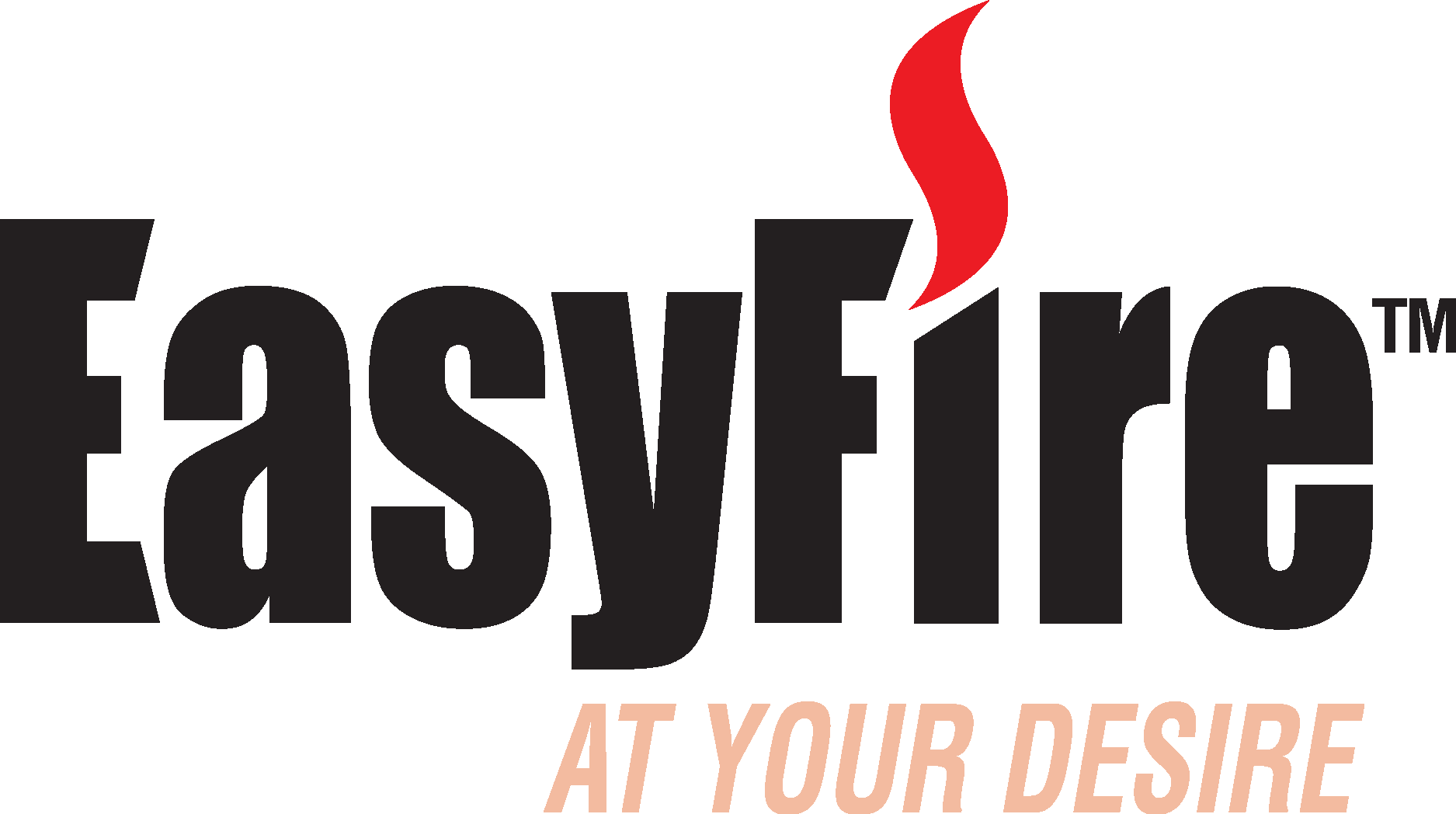 EasyFire Logo Vector
