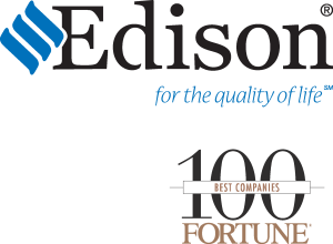 Edison Electric Logo Vector