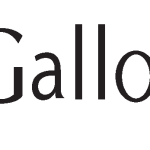 Gallo Displays Logo Vector