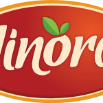 LINORA Logo Vector