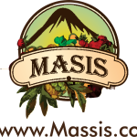 Massis Logo Vector