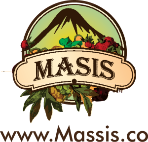 Massis Logo Vector