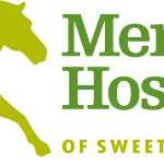 Memorial Hospital Logo Vector