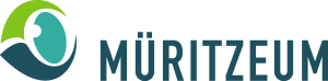 Müritzeum Logo Vector