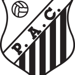 Palmital Atletico Clube de Palmital SP Logo Vector