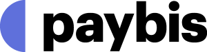 Paybis Logo Vector