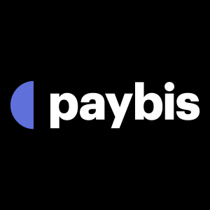Paybis White Logo Vector