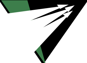 Raliegh Durham Skyhawks Logo Vector