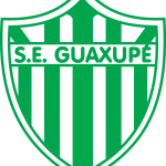 Sociedade Esportiva Guaxupe de Guaxupe MG Logo Vector