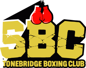 Stonebridge Boxing Club Logo Vector
