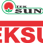 Teksun Logo Vector