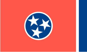Tennessee Flag Logo Vector