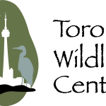 Toronto Wildlife Centre Logo Vector