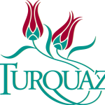 Turquaz Logo Vector