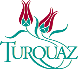 Turquaz Logo Vector