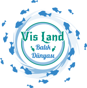 VİS LAND Logo Vector