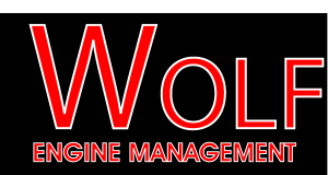 Wolf Engine Management Logo Vector